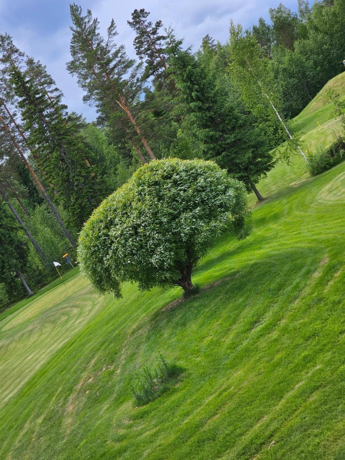 Hotel Kesaeaitat à Ähtäri Extérieur photo